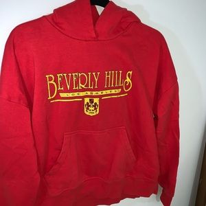 Pacsun hoodie